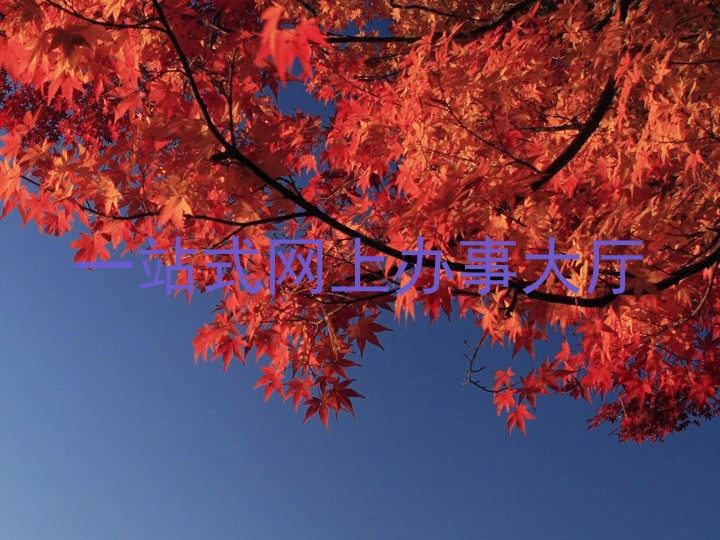 一站式网上办事大厅
