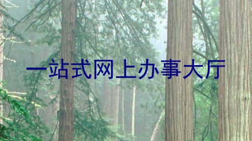 一站式网上办事大厅