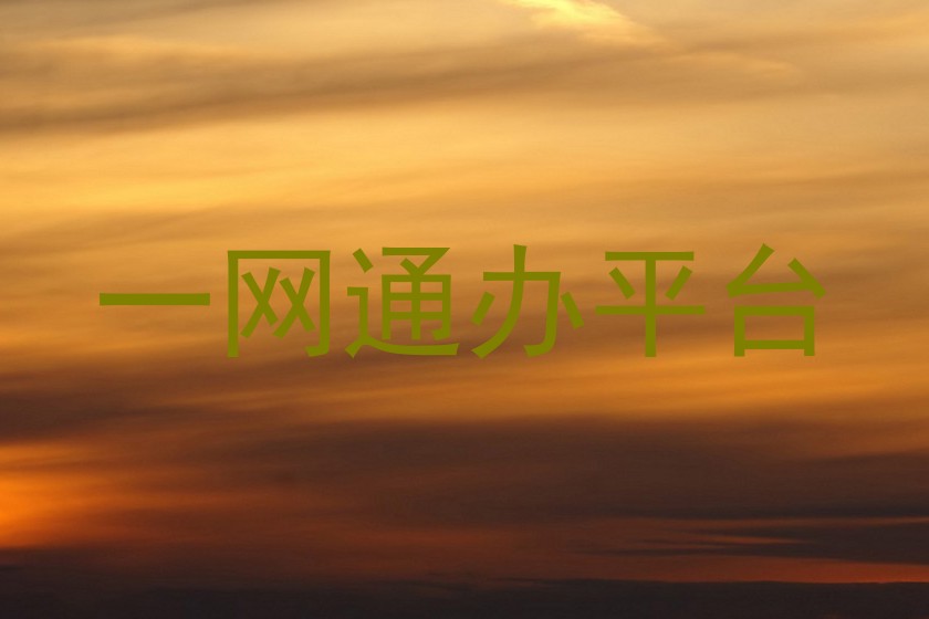 一网通办平台