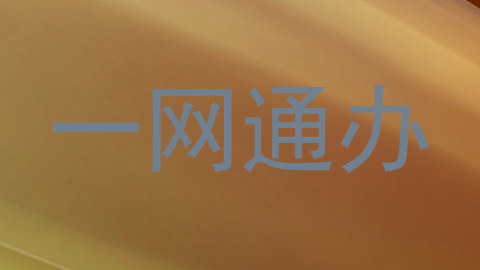 一网通办
