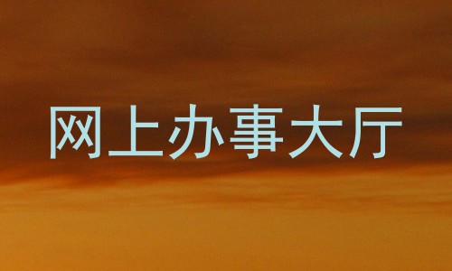 网上办事大厅