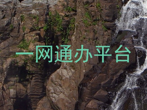 一网通办平台