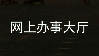 网上办事大厅