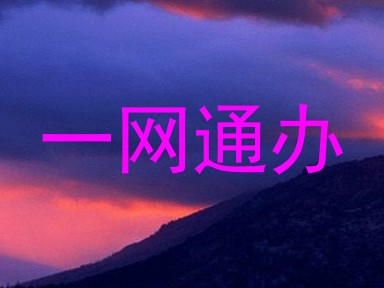 一网通办
