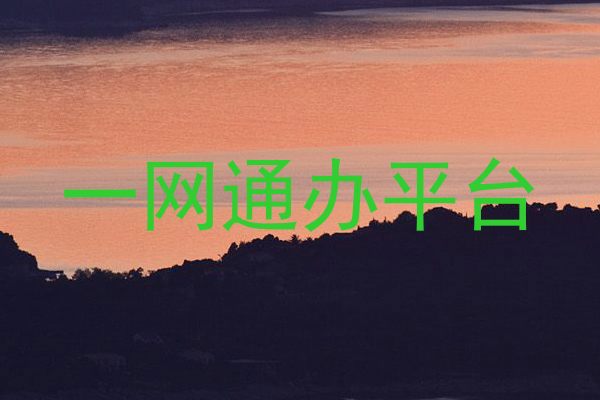 一网通办平台