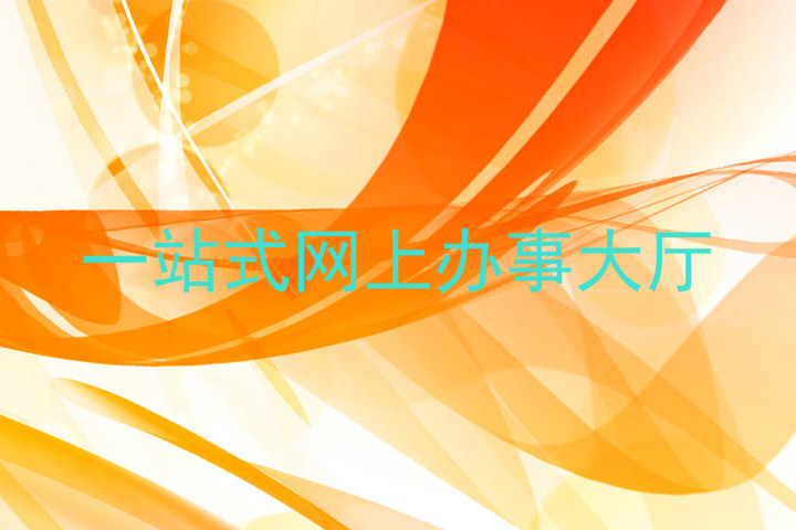 一站式网上办事大厅