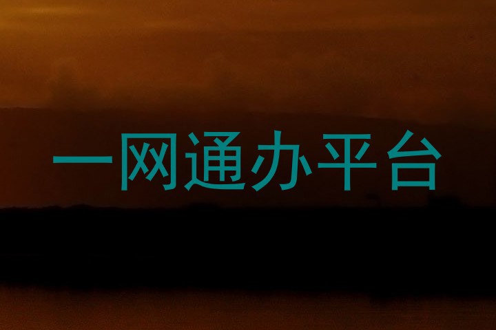 一网通办平台