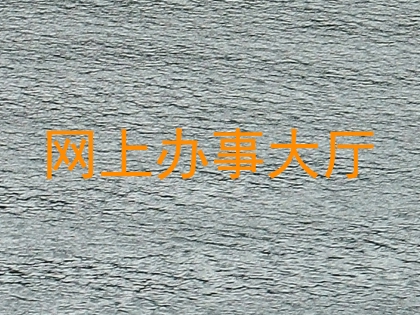 网上办事大厅