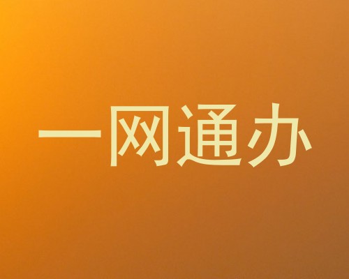 一网通办