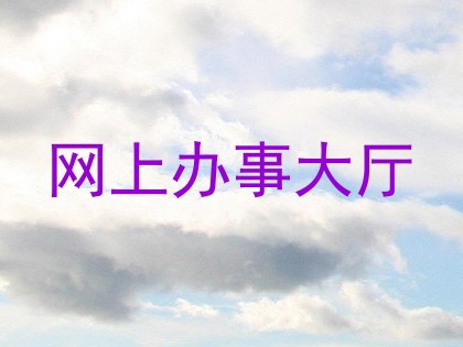 网上办事大厅