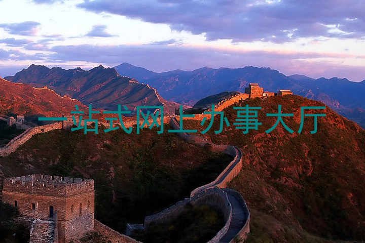 一站式网上办事大厅