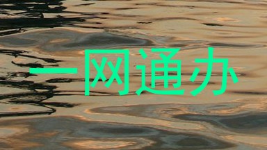 一网通办