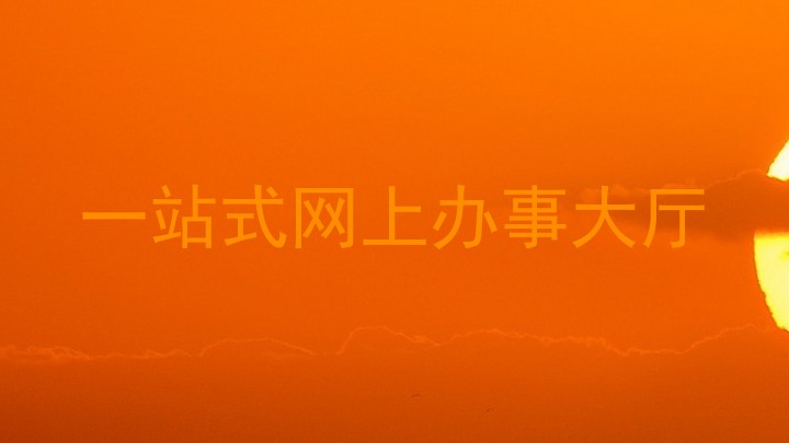 一站式网上办事大厅