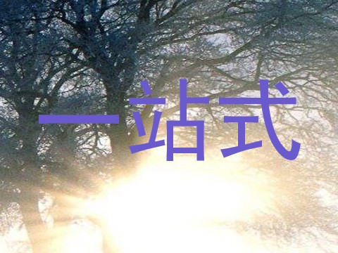 一站式