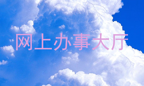 网上办事大厅