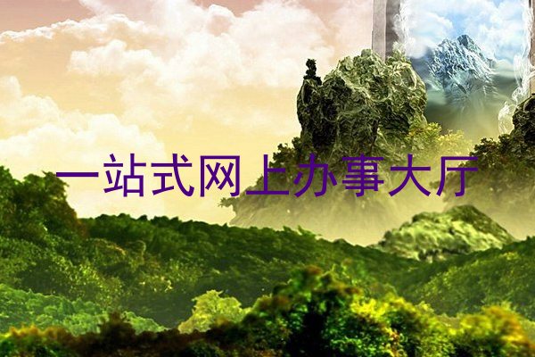 一站式网上办事大厅