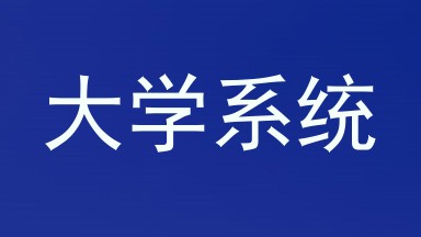 大学系统