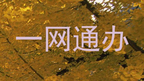 一网通办