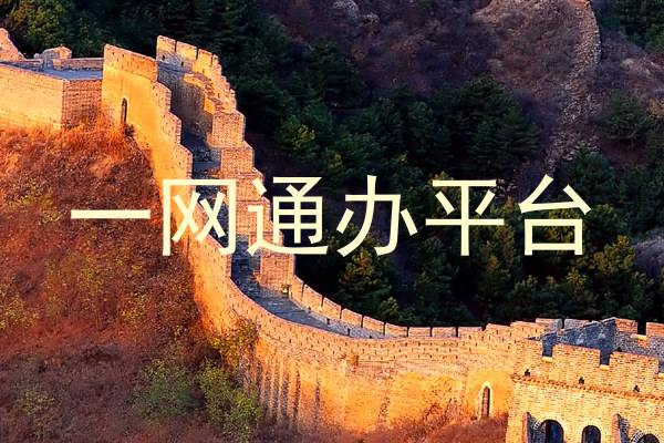 一网通办平台