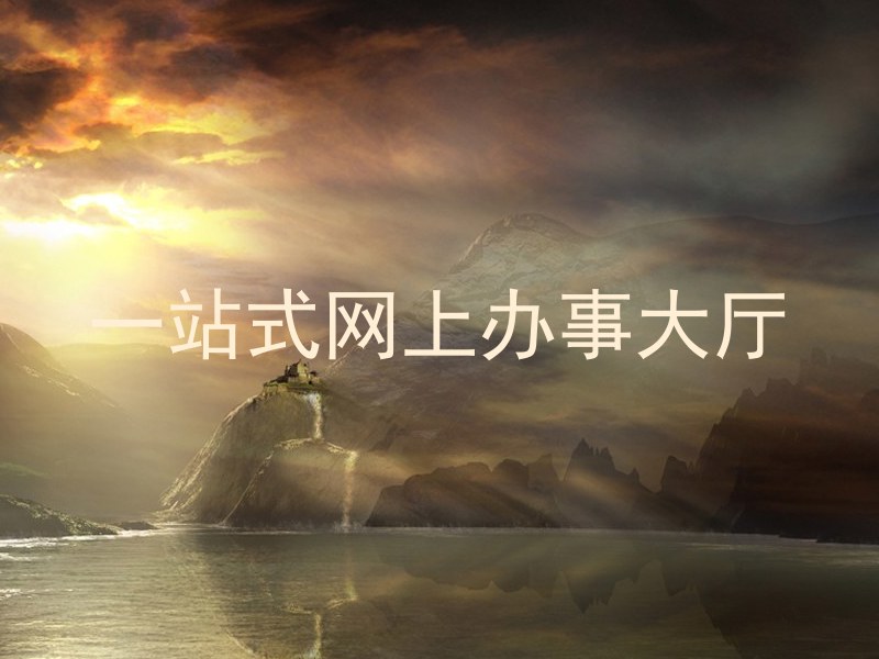 一站式网上办事大厅