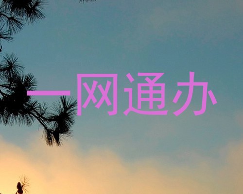 一网通办