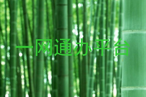 一网通办平台