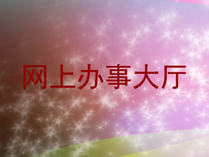 网上办事大厅