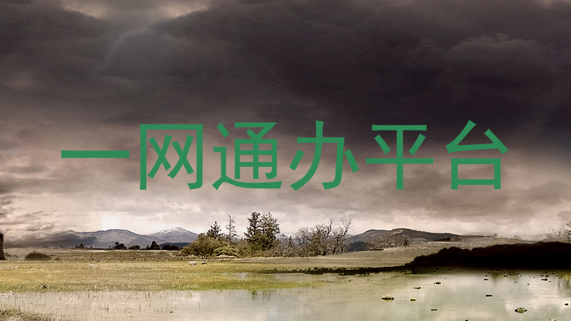 一网通办平台