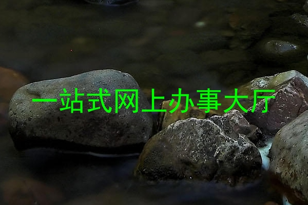 一站式网上办事大厅