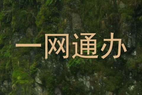 一网通办