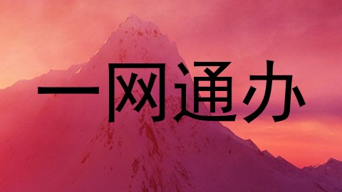 一网通办