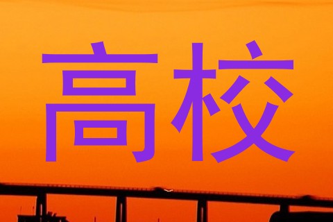 高校