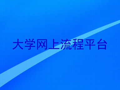 大学网上流程平台