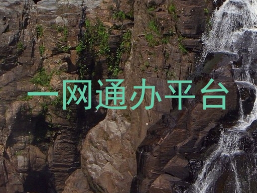 一网通办平台