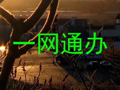 一网通办