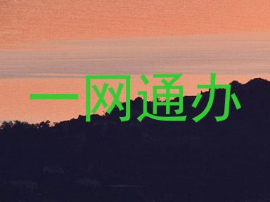 一网通办