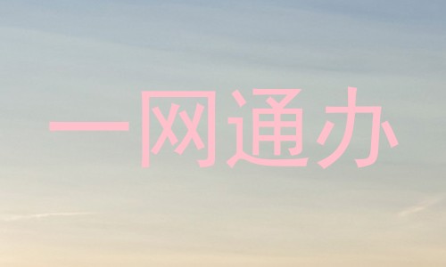 一网通办