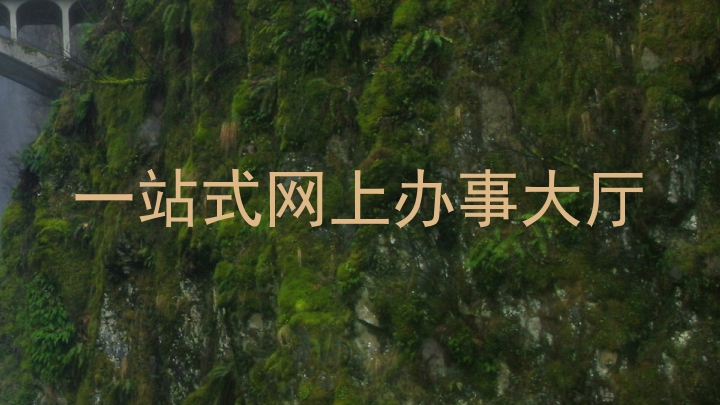 一站式网上办事大厅