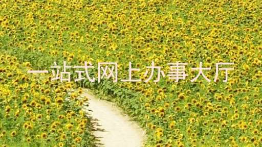 一站式网上办事大厅