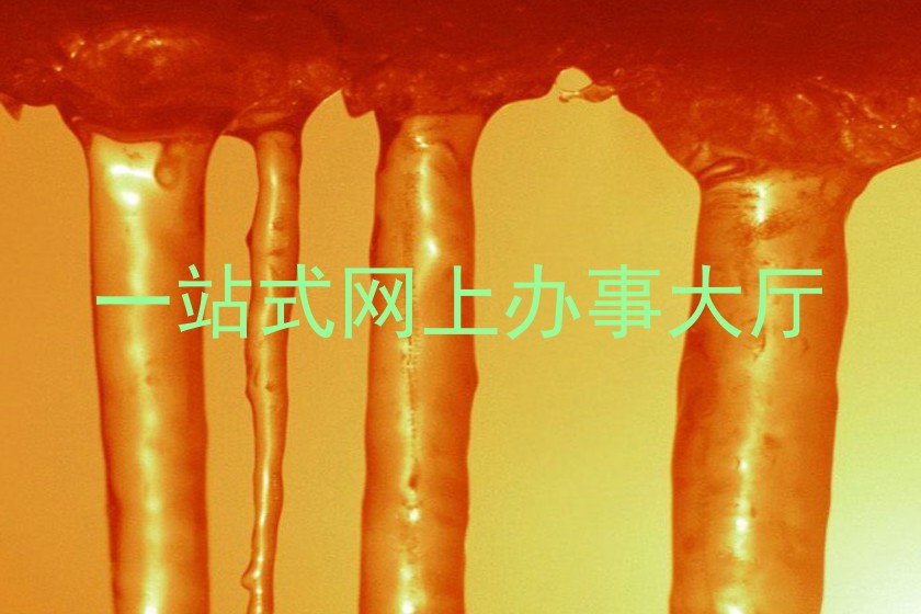 一站式网上办事大厅