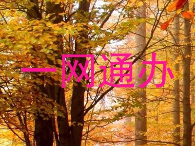 一网通办