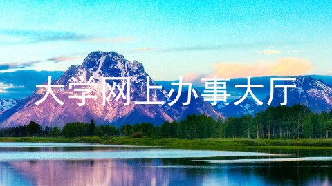 大学网上办事大厅