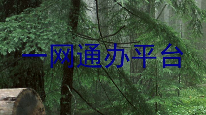 一网通办平台