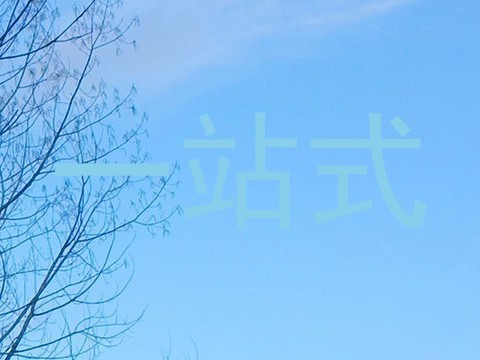 一站式