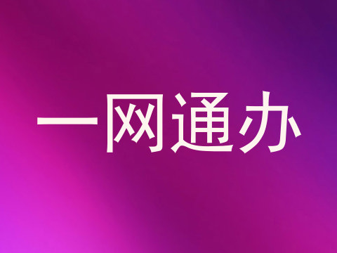 一网通办