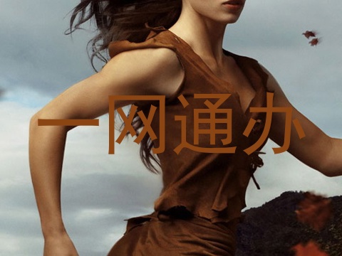 一网通办
