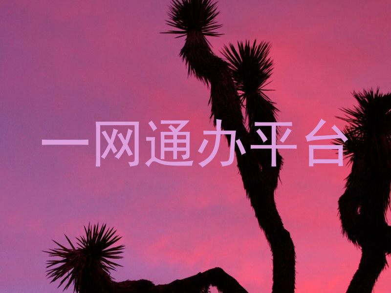 一网通办平台