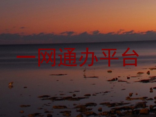 一网通办平台