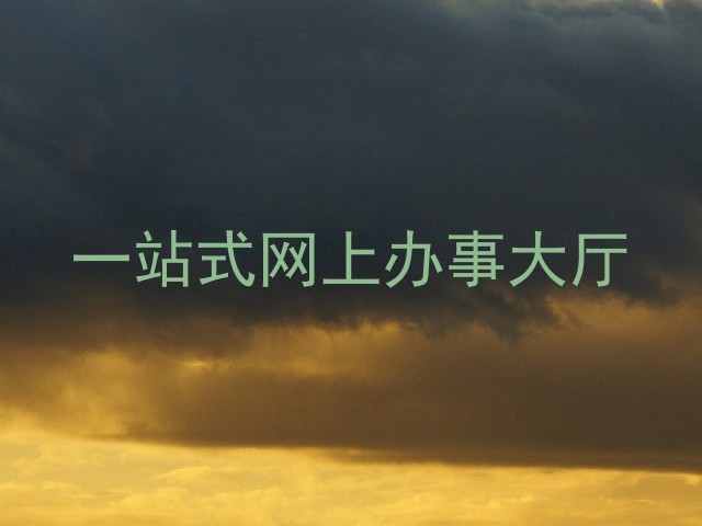 一站式网上办事大厅