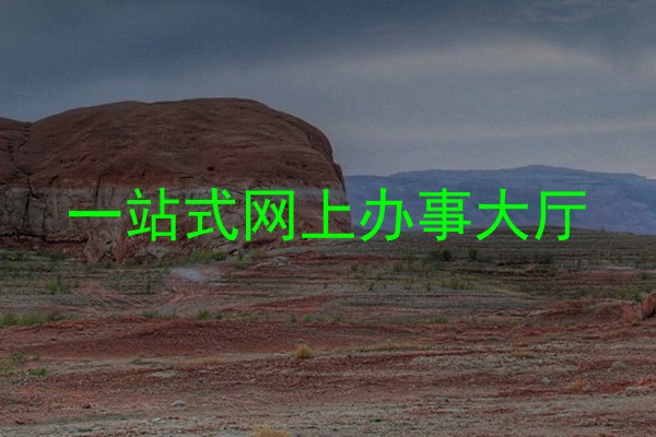 一站式网上办事大厅